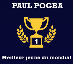 Infographie : bilan chiffré des Bleus au mondial 2014